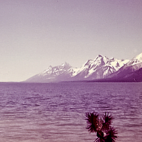 Click for larger view!